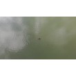 fotografia